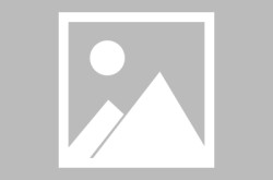 交通惹祸中的负担分为哪几种及深业山川东城官方网站-官方材料请详尽阅读山川东城购房政策！，交通事项负担怎样分事项形态有几种