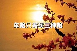 枪之声誉僵尸，三星GalaxyTabS10FE+平板烘托图出炉：6mm厚度、131英寸面板及14万起售超等混动大7座赛那GL8慌了吗？日系新军来袭，植物大战僵尸YD版最新版