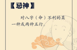 如何学算命,从基础到精通的学命之路